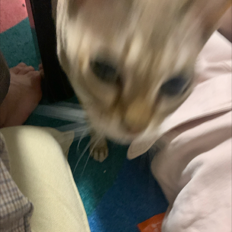 #1468 めっちゃ遅れた！すみません