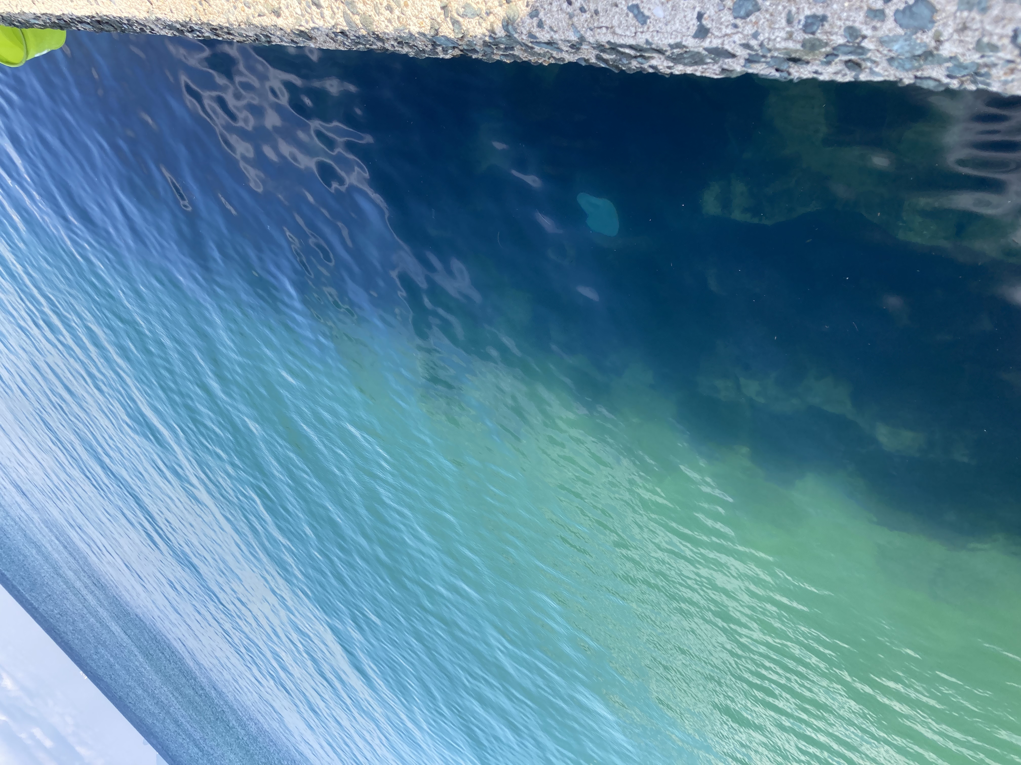 宇宙のひとりごと