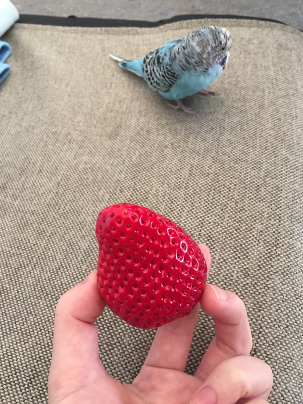 第2回 もはや日記のような内容じゃん