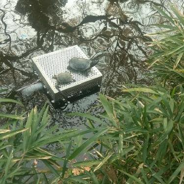 #002 喉からの風邪をひきました