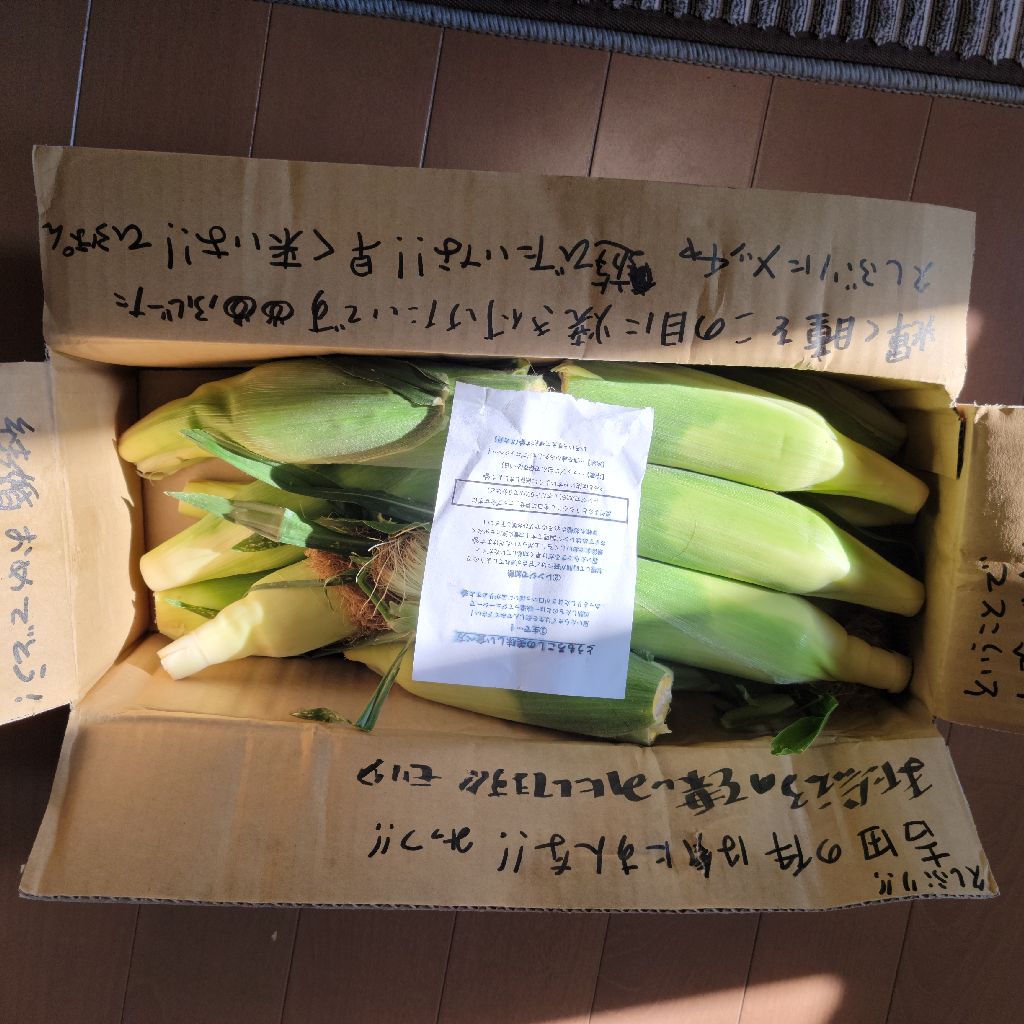 第８回ボンギリナイトニッポン