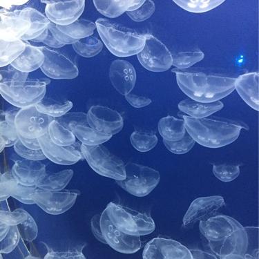 春色のふわふわとーく