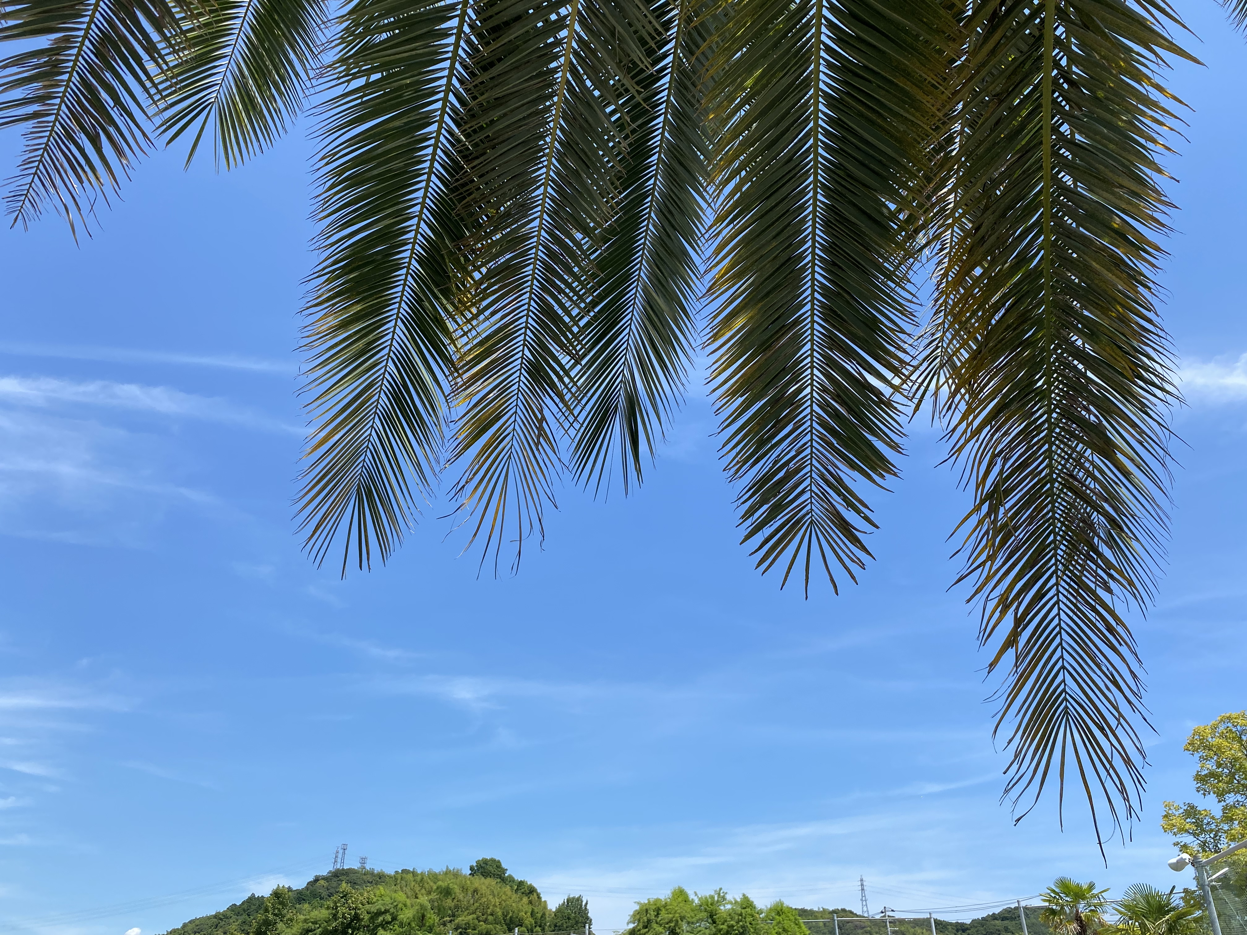 声日記Radio#おすすめのアプリは？