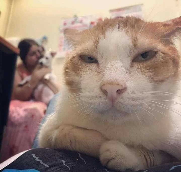 【泥酔ぢゃないラジオ】 明日、寝れる保障？なにそれ