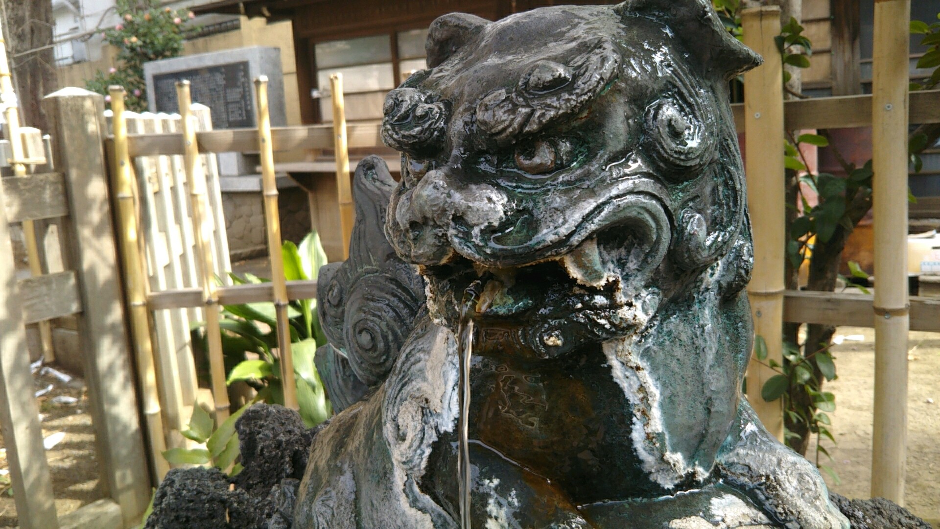 【泥酔ラジオ】78 酩酊度1.5 生きとし生ける者の逃れられない定めとして