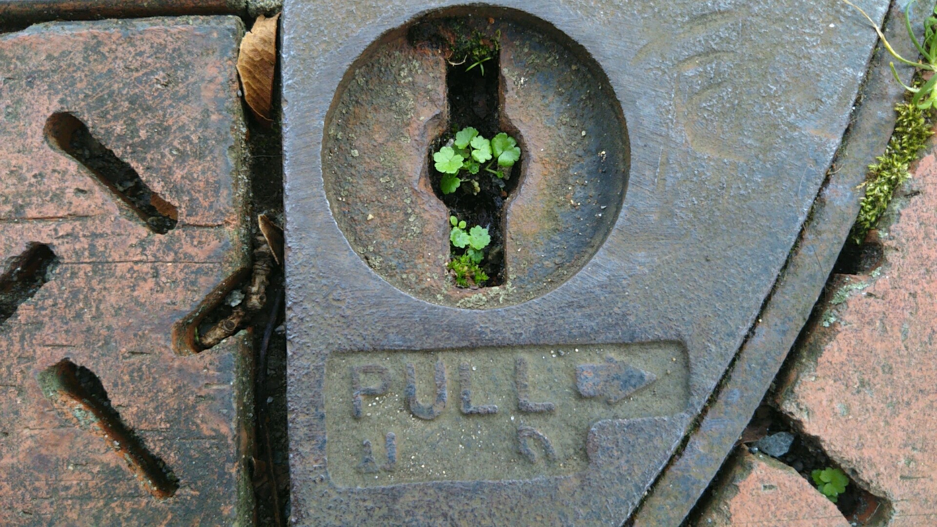 【泥酔ラジオ】94 酩酊度3 柄にもなく時事ネタを喋っていたら