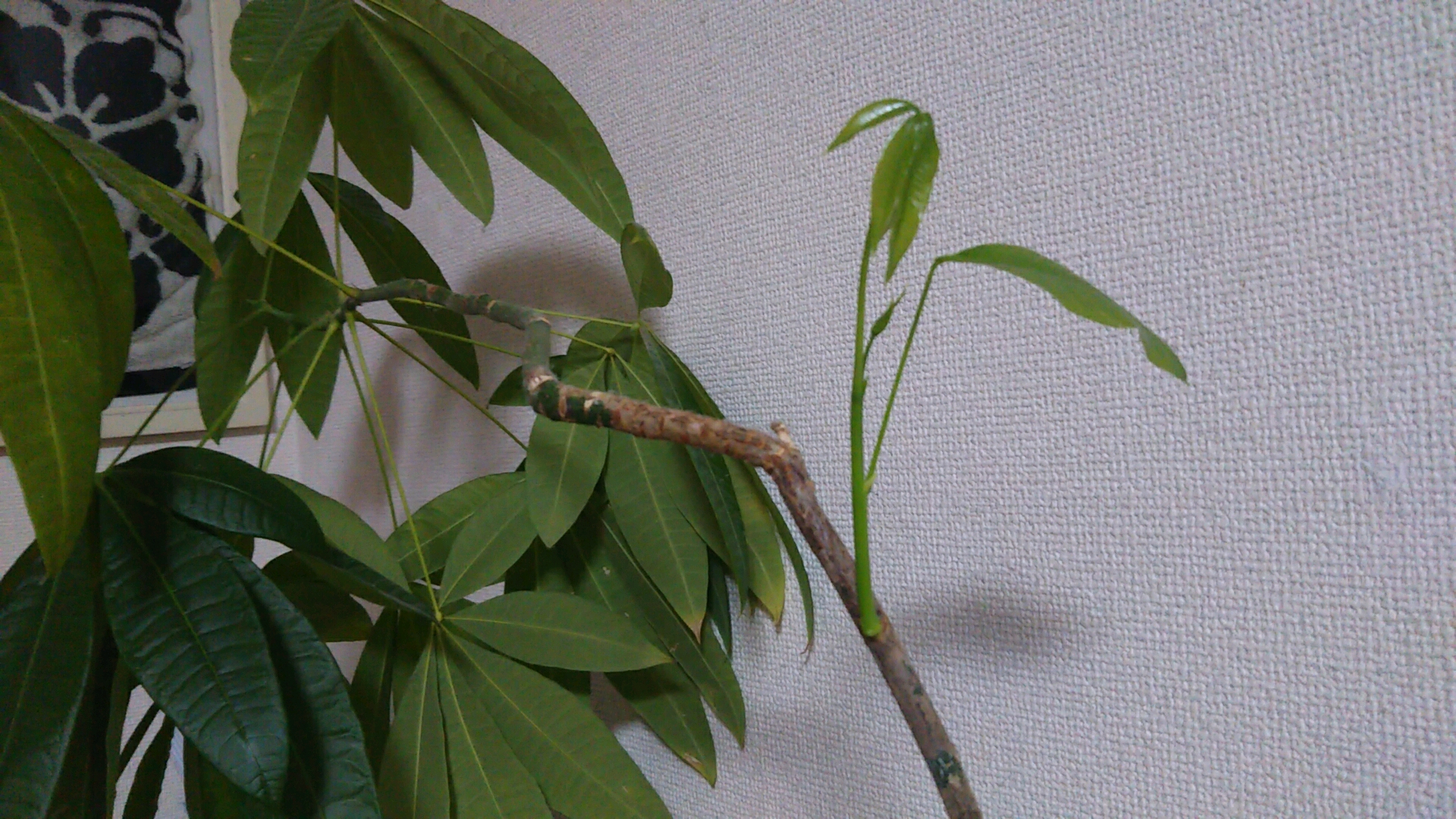 【泥酔ラジオ148】酩酊度3 明日のことは誰にもわからない