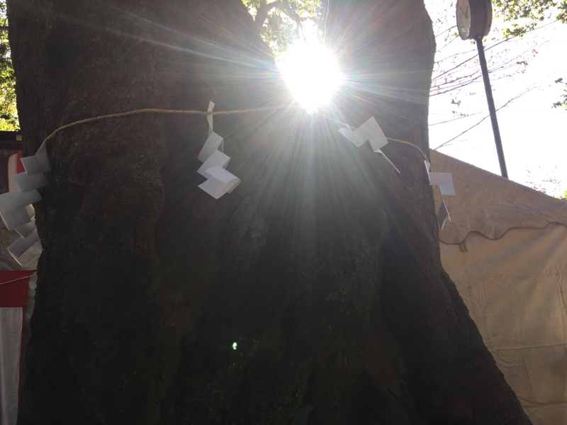 【泥酔ラジオ】酩酊度2 2019.1.21 AM24時23分 辞める、て言いました？