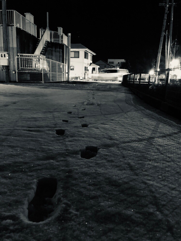 かるい自己紹介と雑談っ！