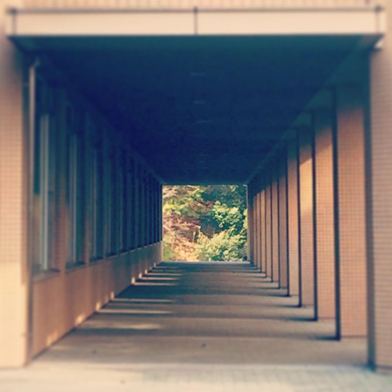 どんちゃかタイムズ