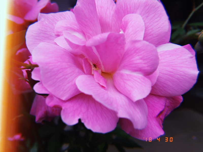 #10 いつものメイク190428