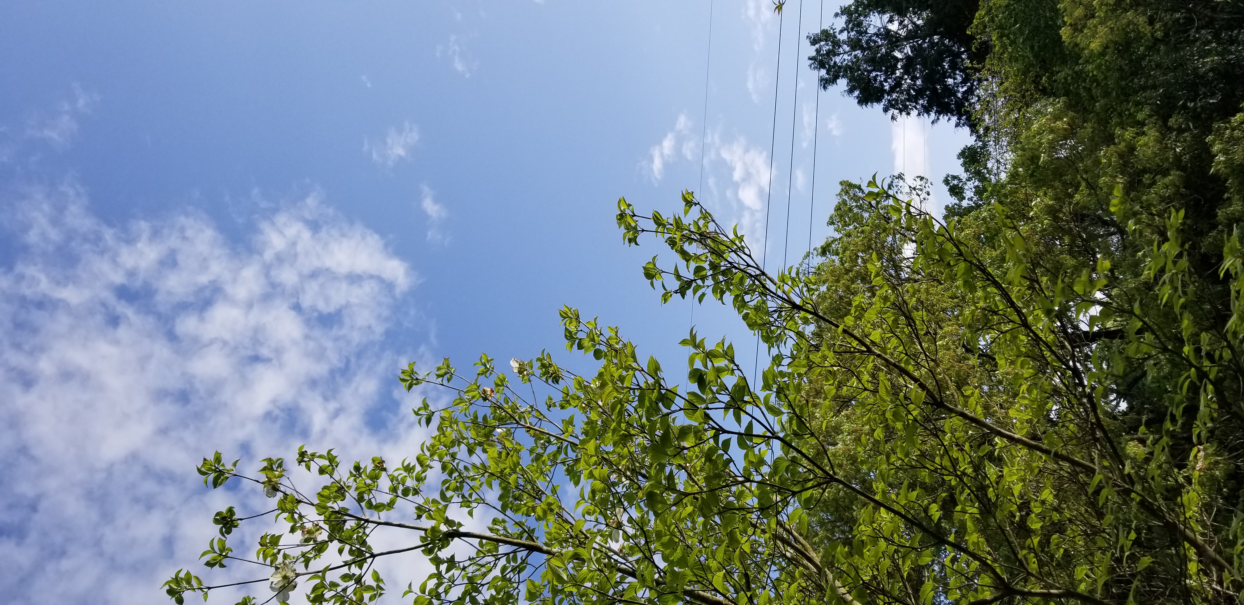 #515.ト書きのラジオＧＷ編『自宅にて.山際の風と鳥の声』