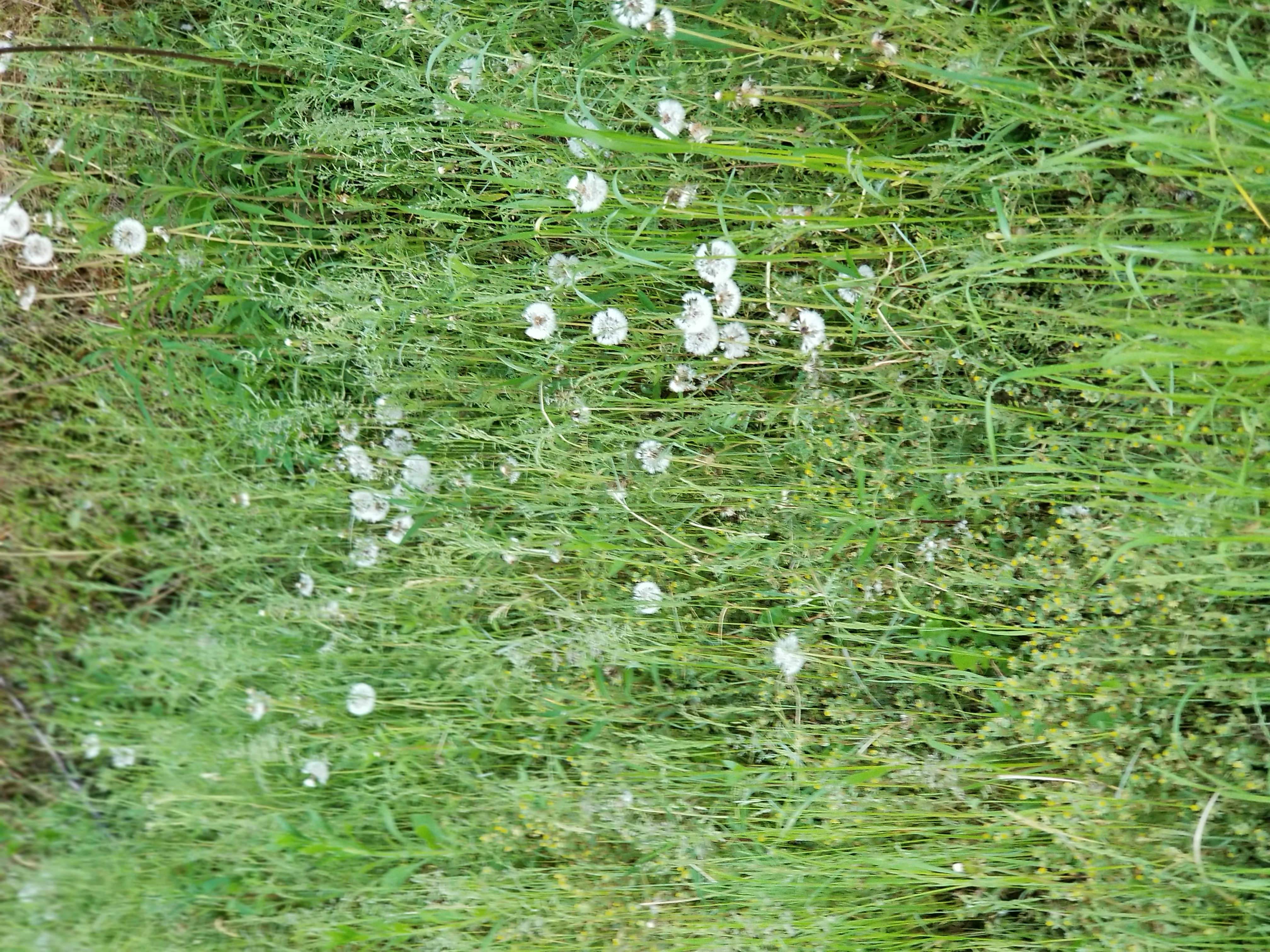 土)ト書きのラジオ5:31有機的な私たちの 住む場所の選び方