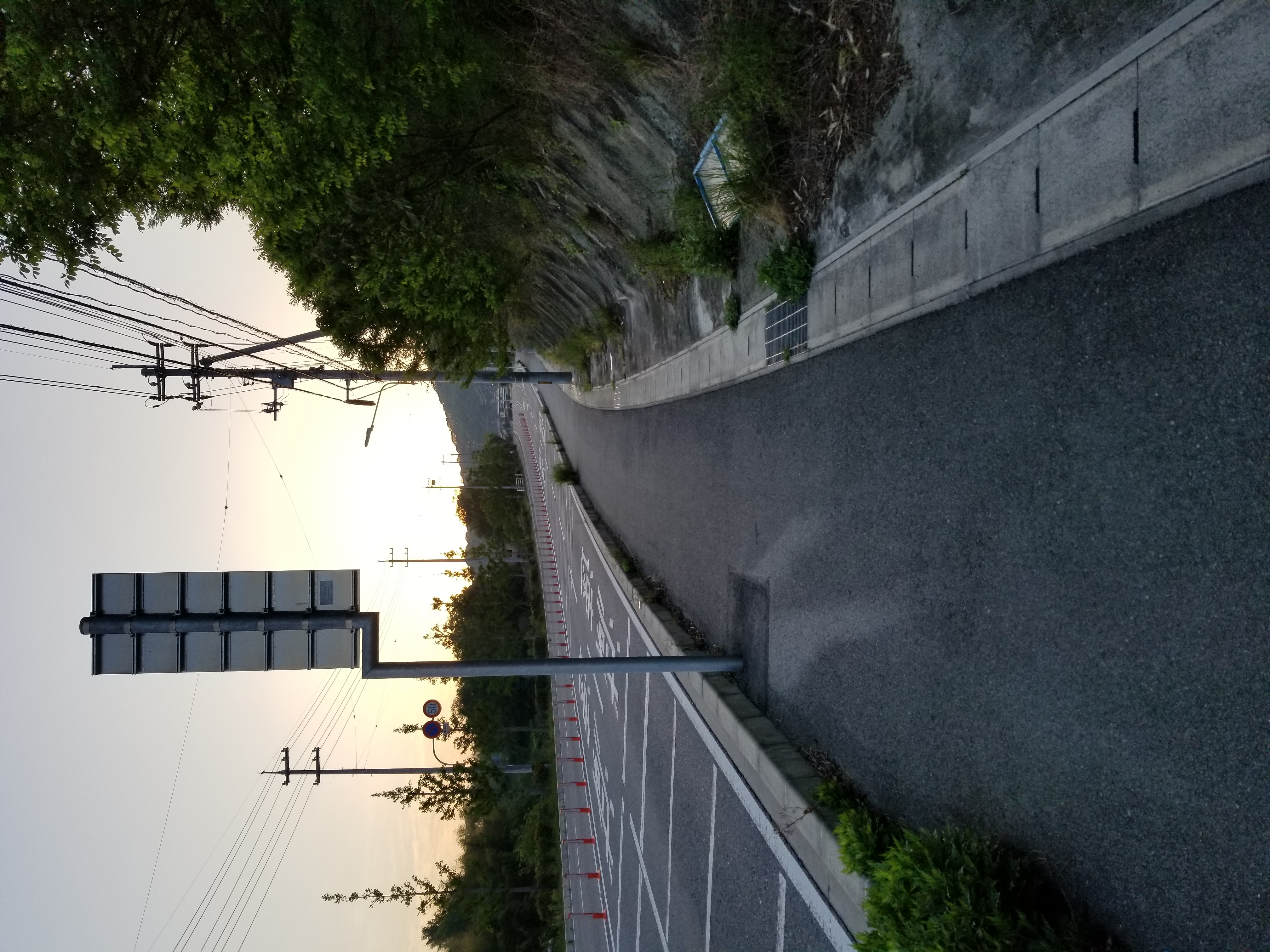 ト書きのラジオ5:14 鳥たちの目覚めと丘を下る早朝の音