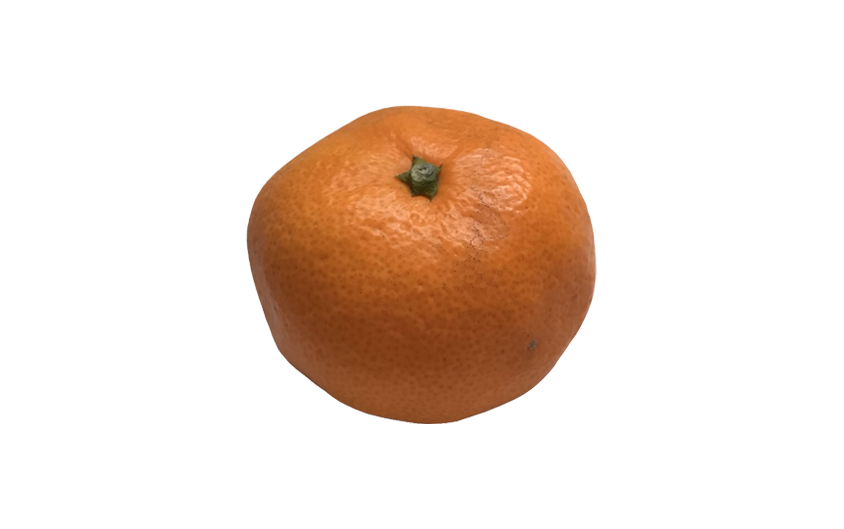 #13.みかんの断末魔