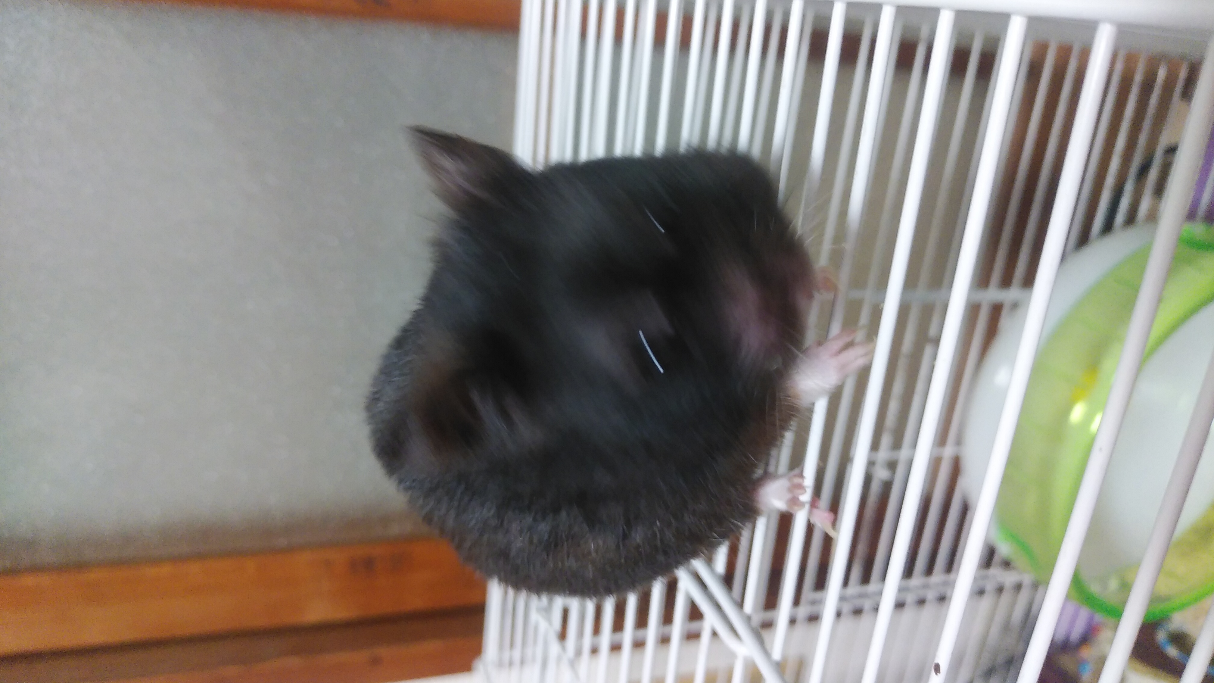 へたっぴ化粧研究所②