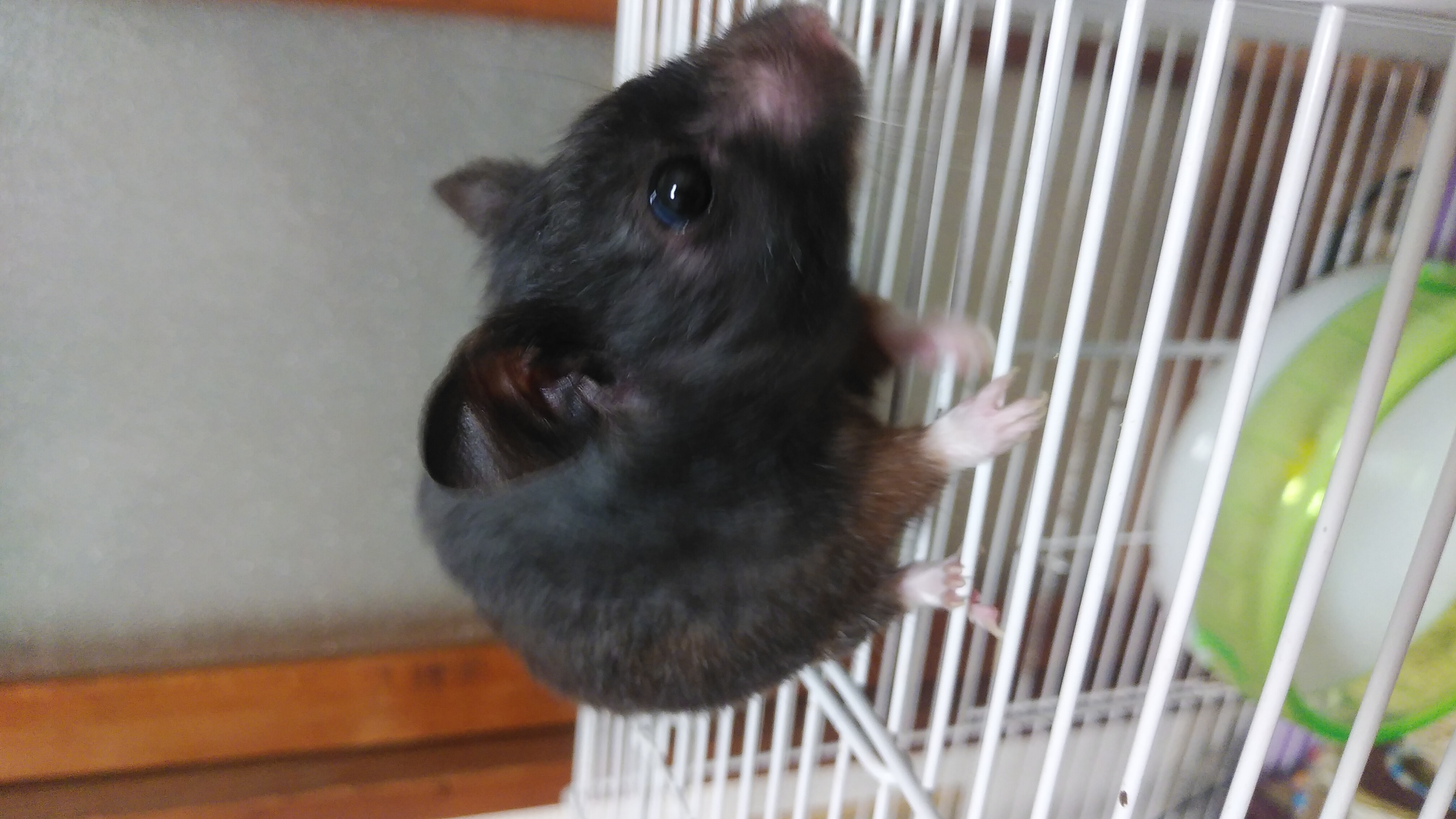 へたっぴ化粧研究所③