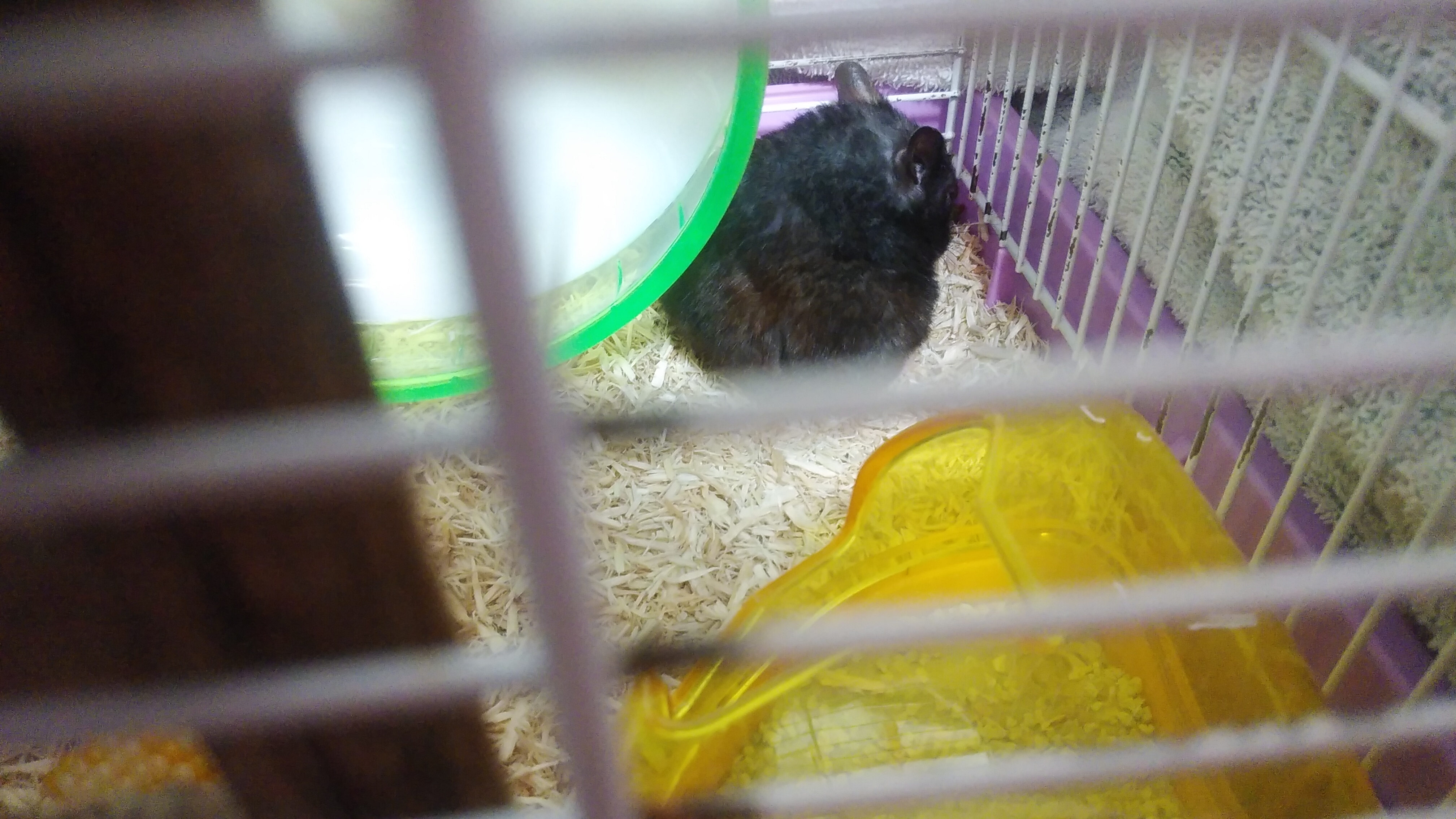 へたっぴ化粧研究所リターンズアフター