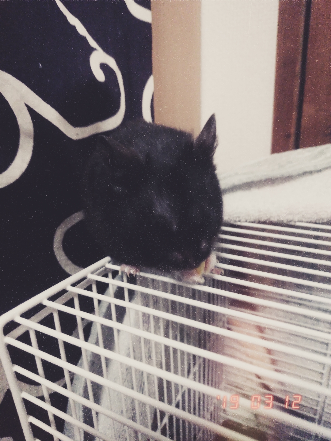 マシュマロ返信とか