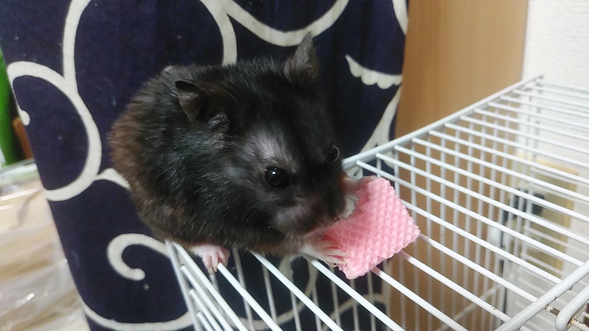 花粉で目がかゆい