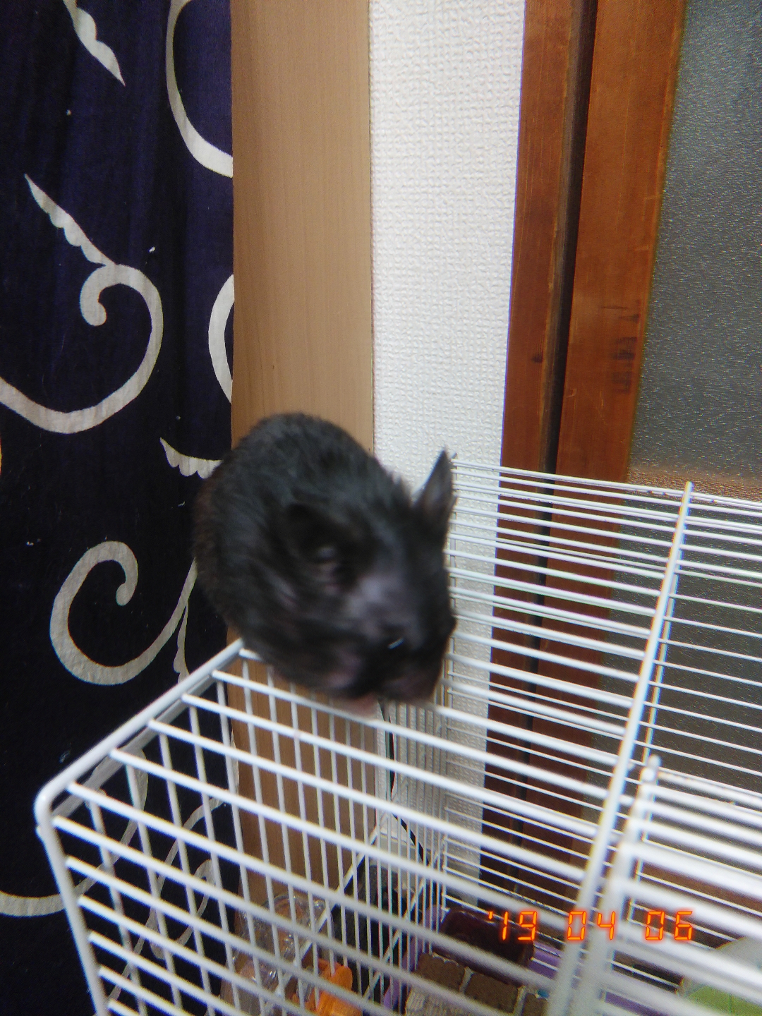 へたっぴ化粧研究所RR①