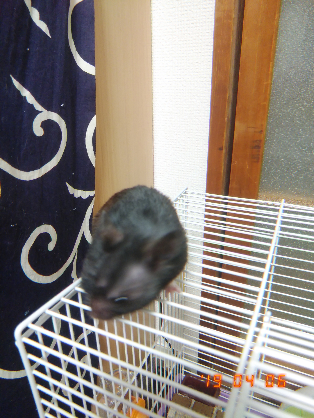 へたっぴ化粧研究所RR②