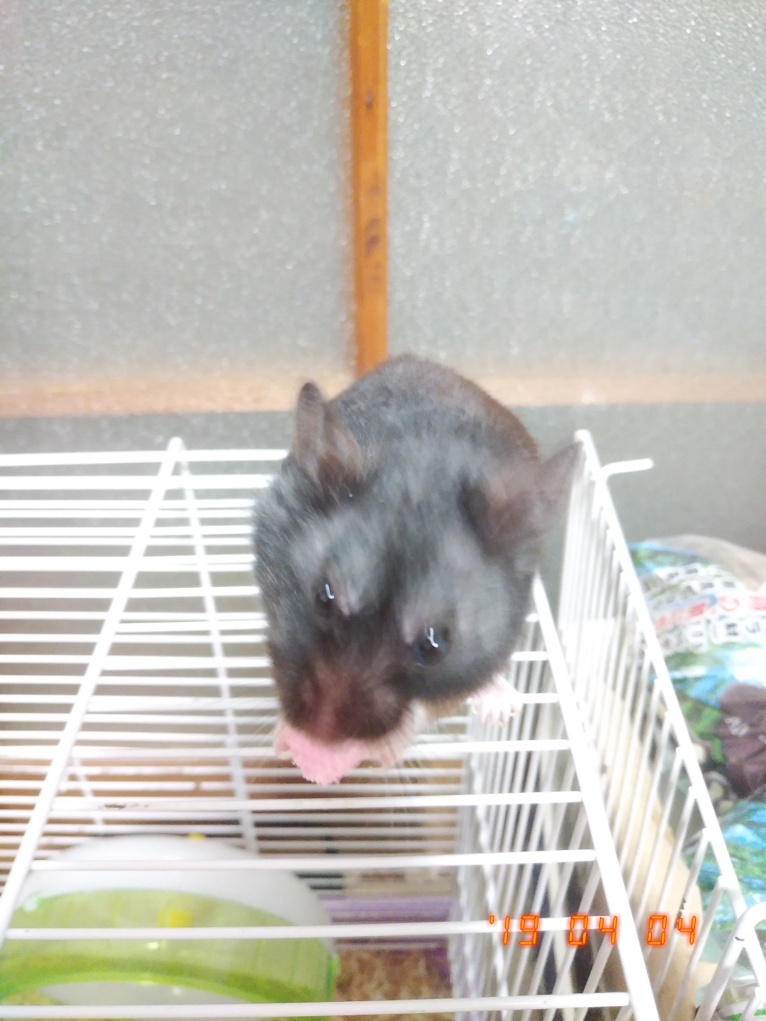 へたっぴ化粧研究所RR③