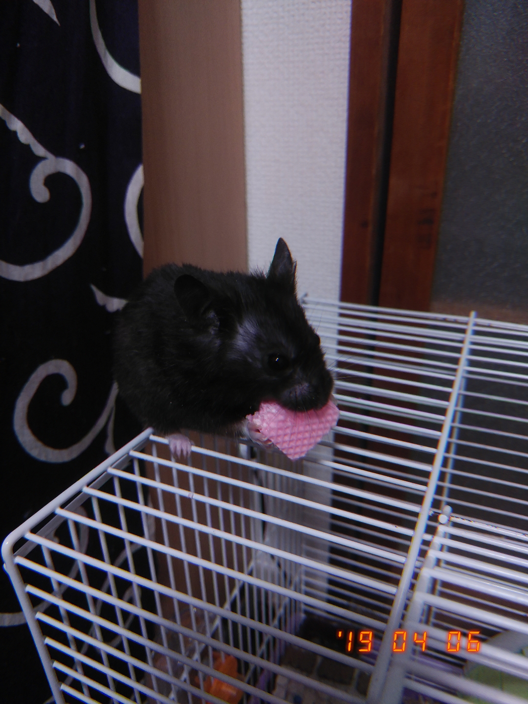 作業しながら雑談