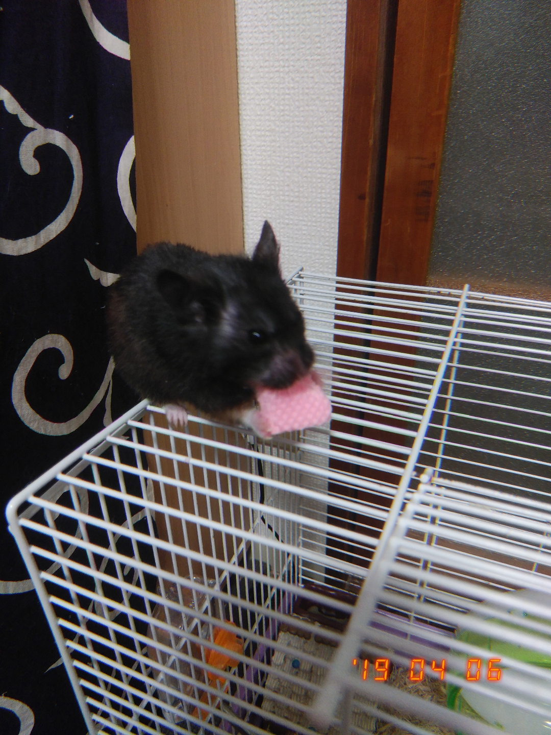 続・作業しながら雑談