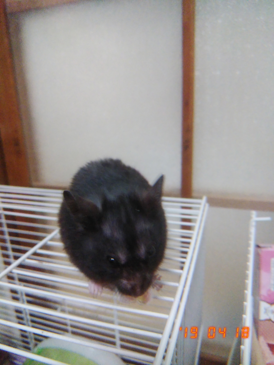 統合失調症らしいぜ