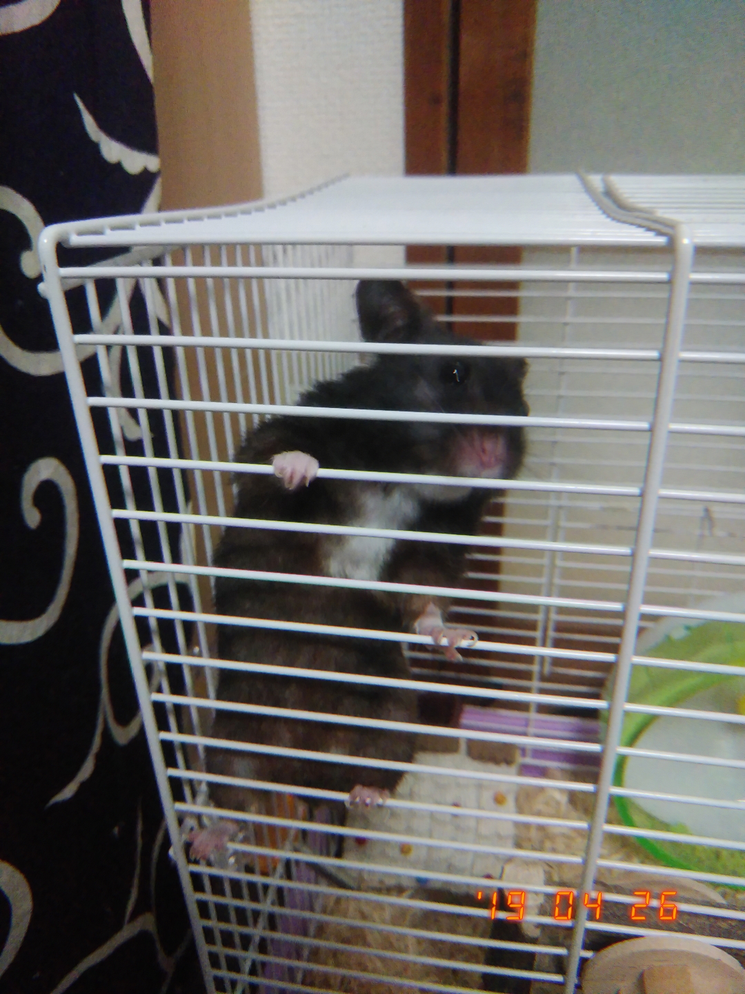 うにさんが元気で良かった