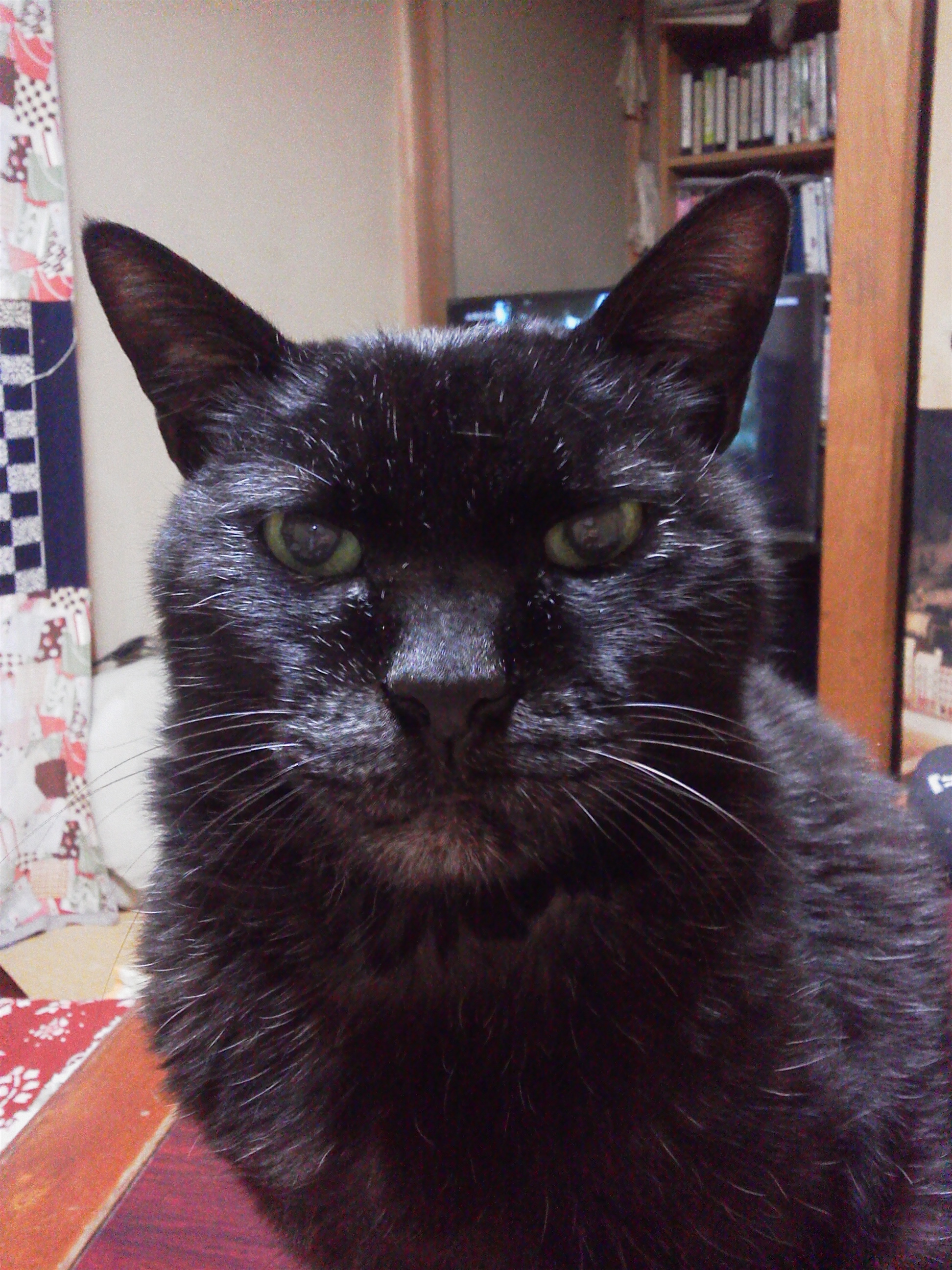 夢幻紳士の話とか