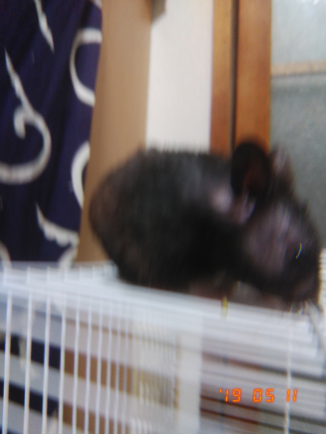 最近読んでる小説とか