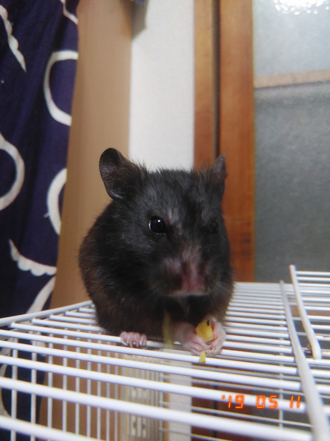 ジョジョの話とか