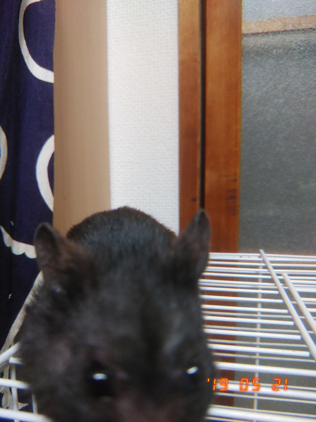 ビール飲んでる！