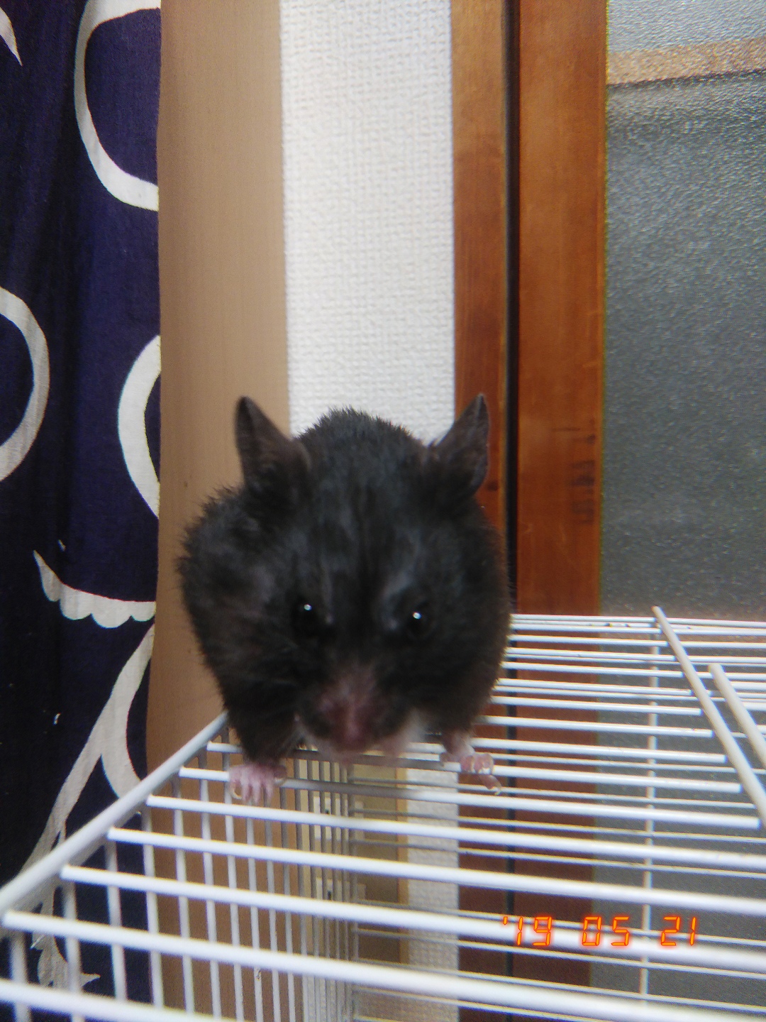 漫画描き終わって疲れてる