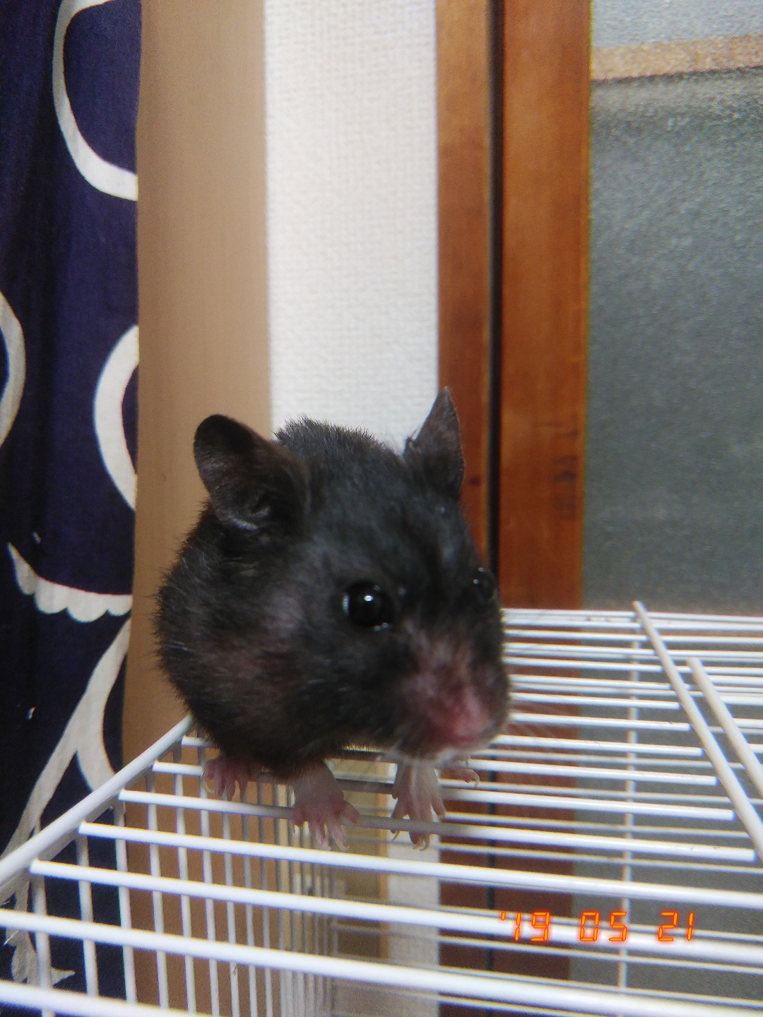 映画とかの雑談