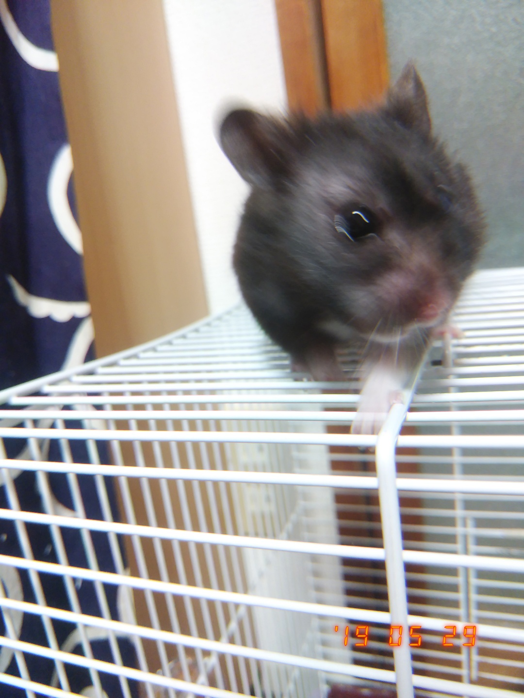 御堂筋くんの話とか