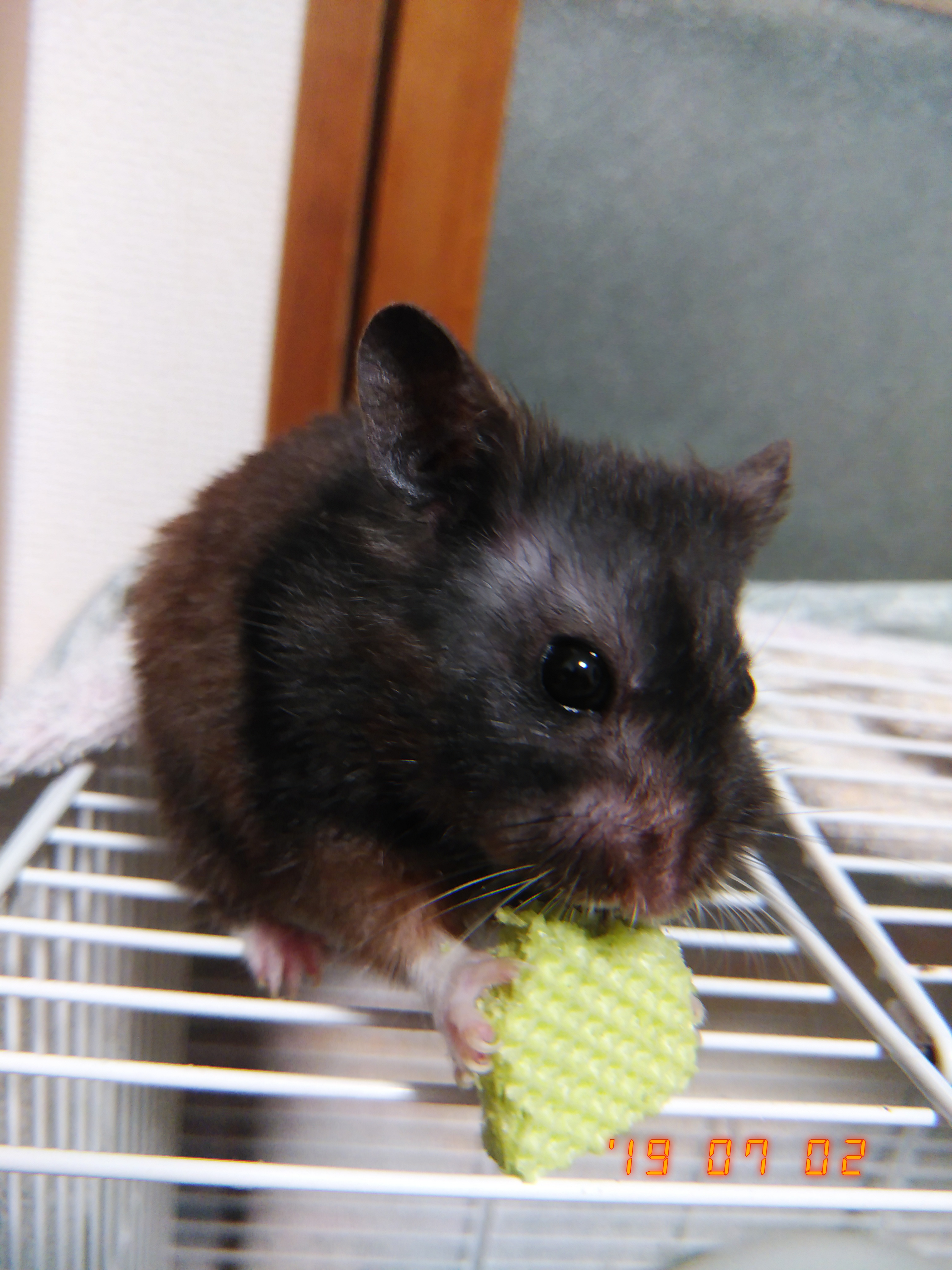 キリスト教絵画の話してる