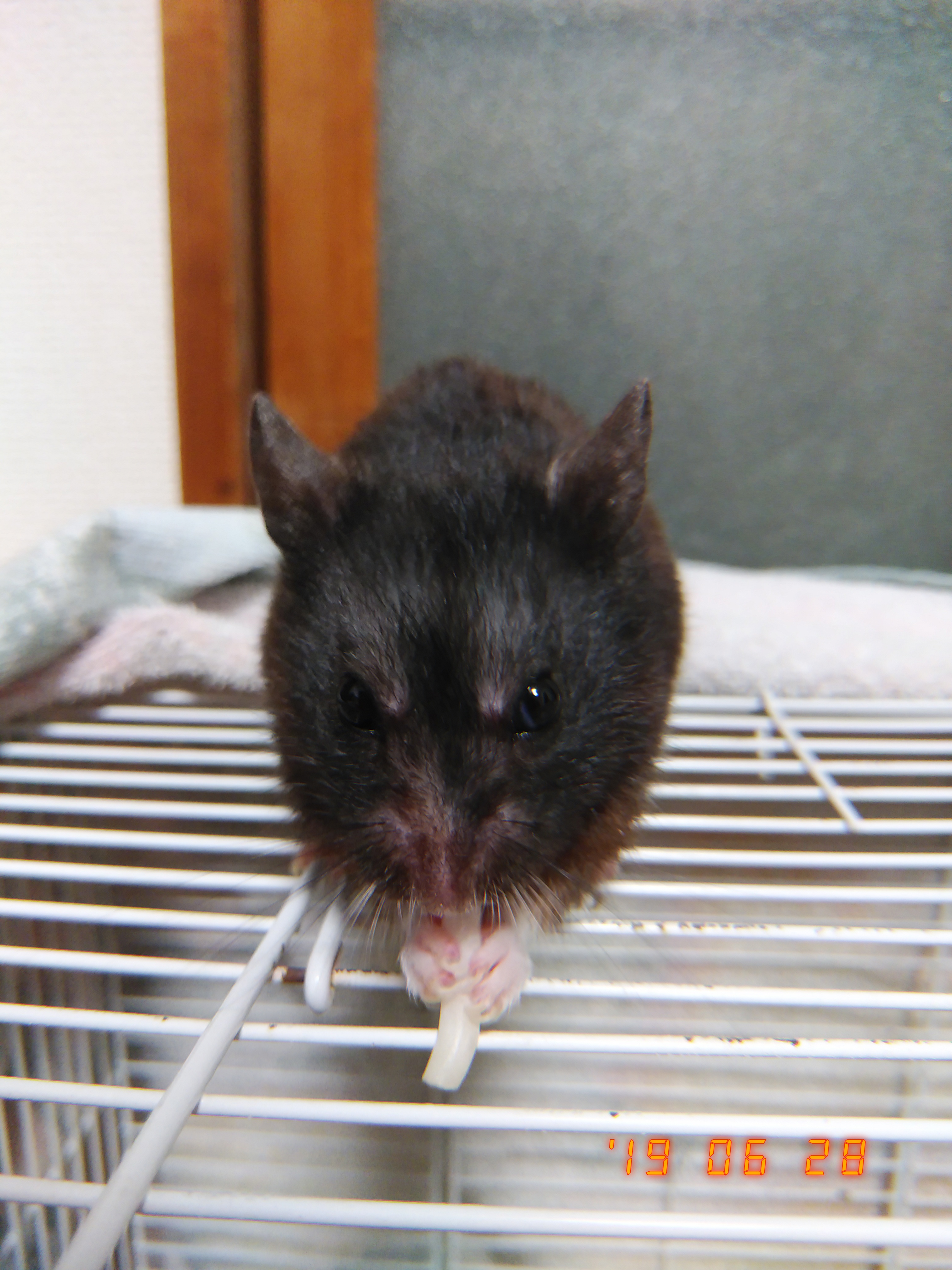 キリスト教絵画の話2