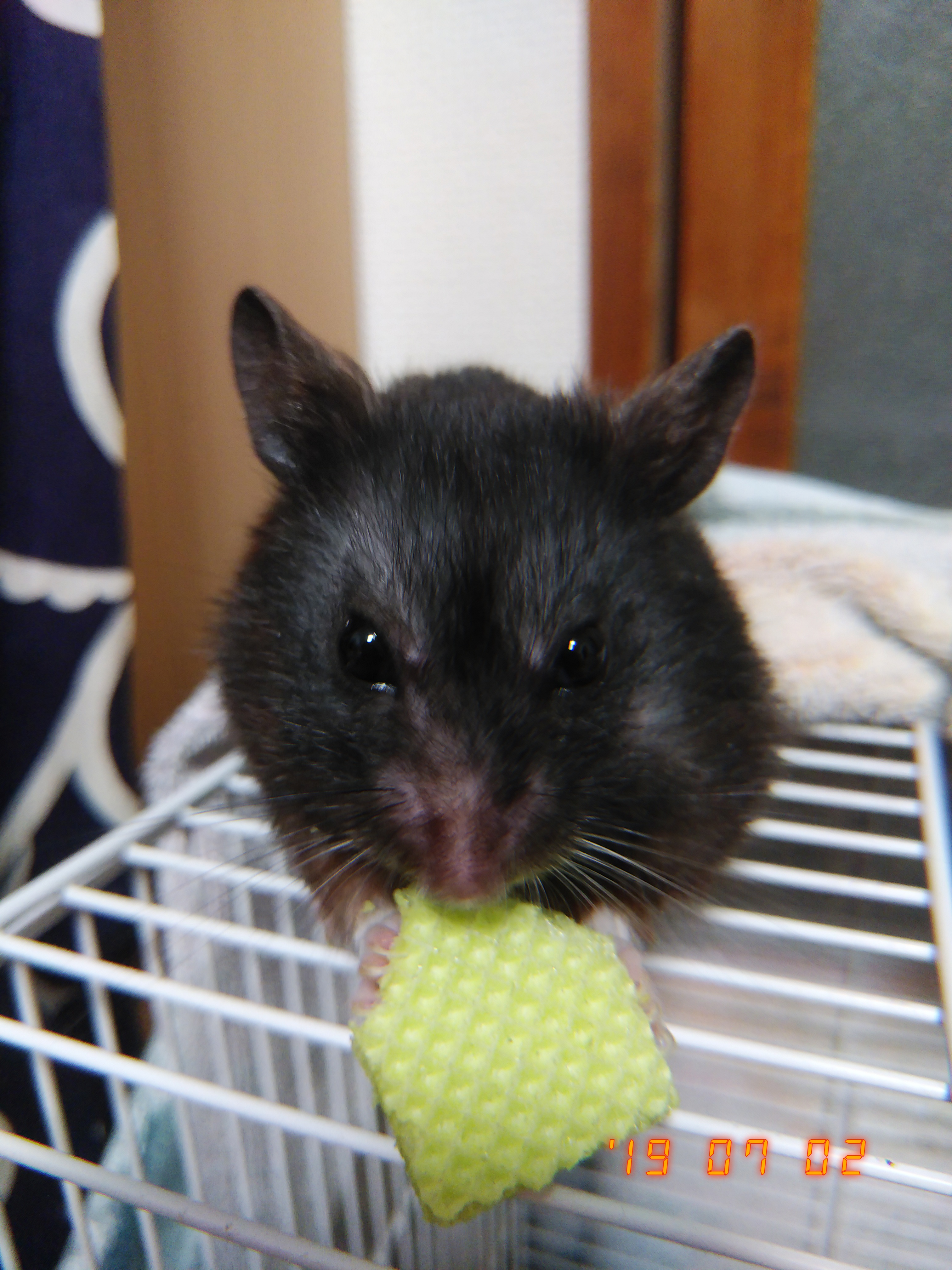 キリスト教絵画の話3