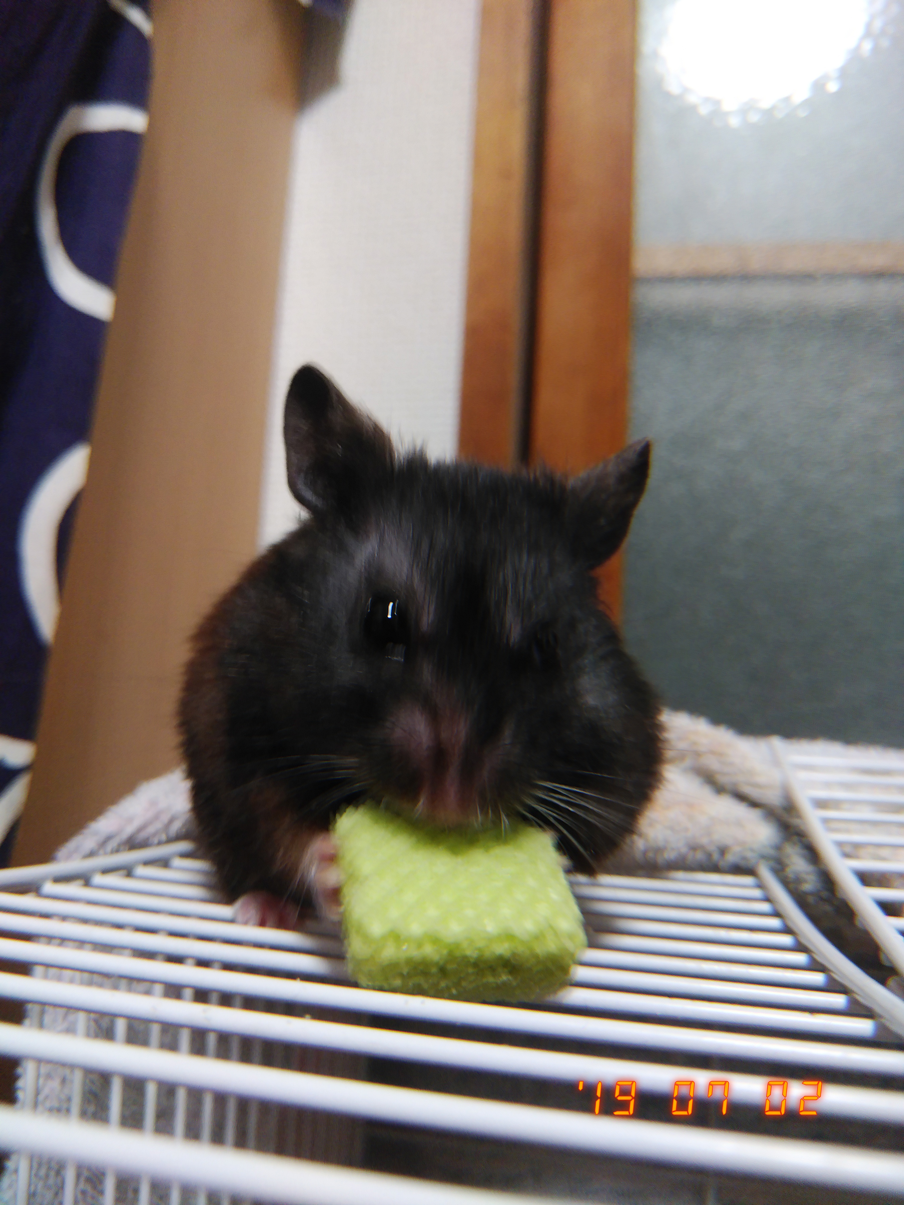 定型を意識してるか否かの話