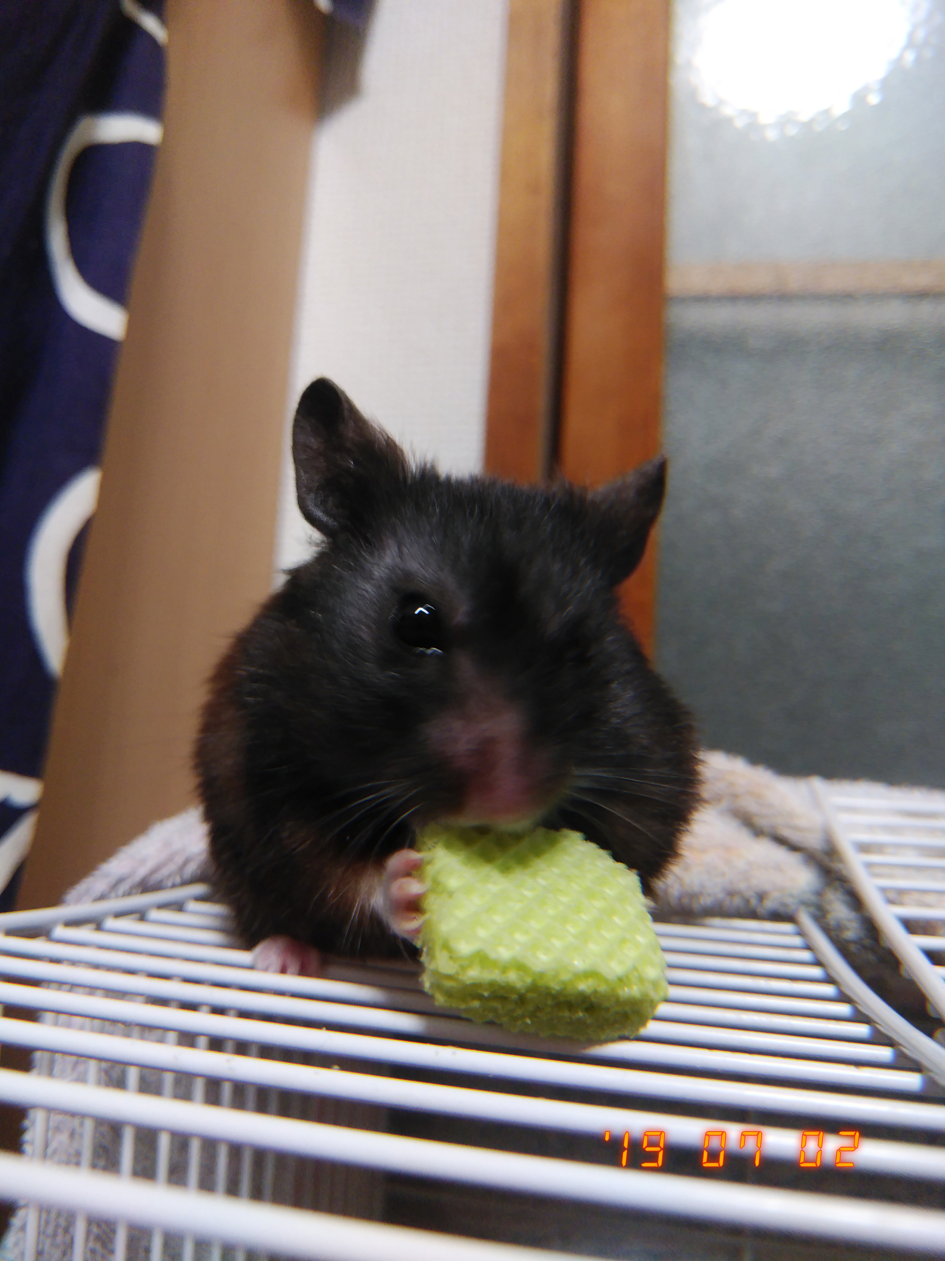 ペヤング食ってる