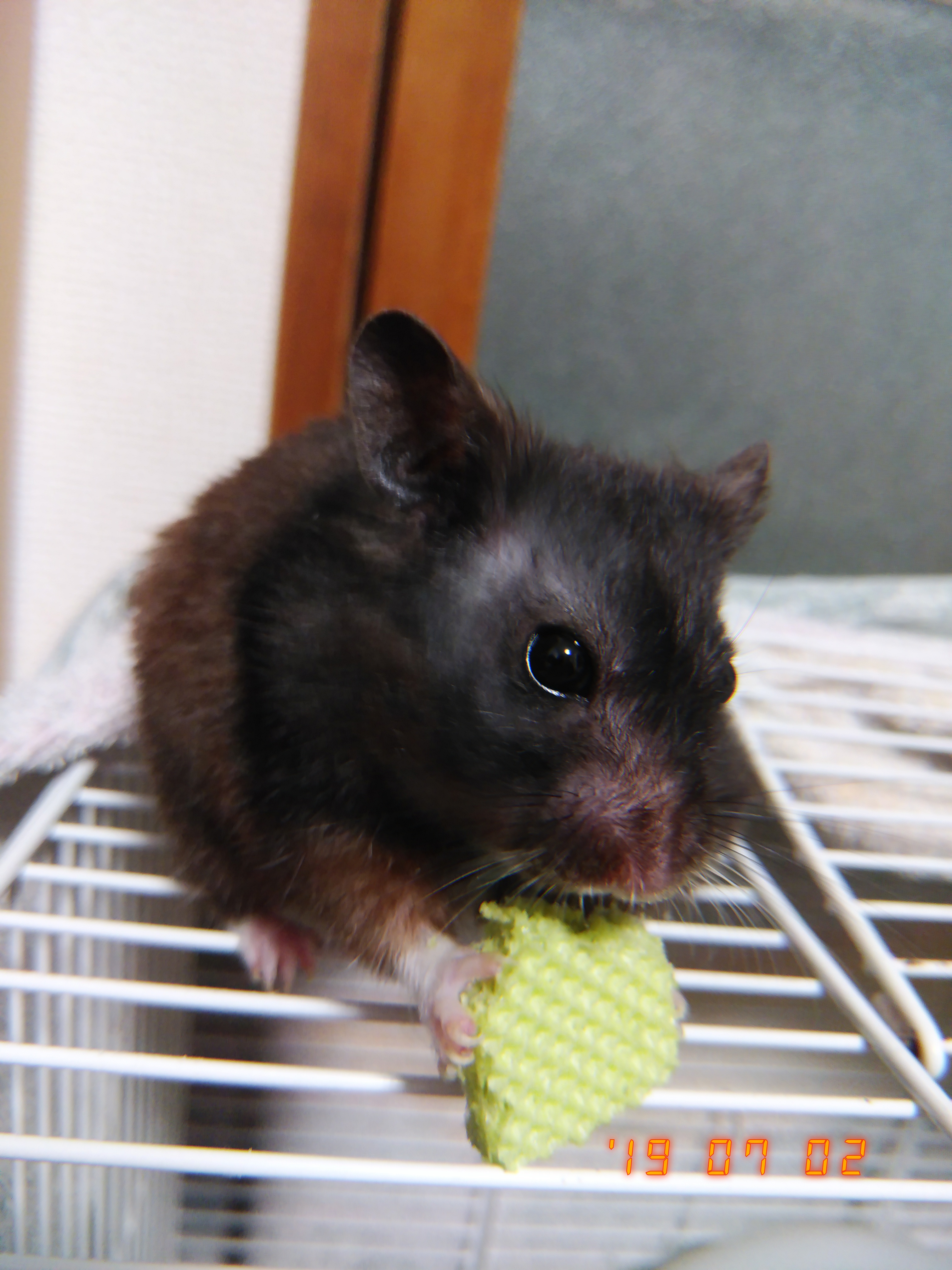 作業しながら雑談