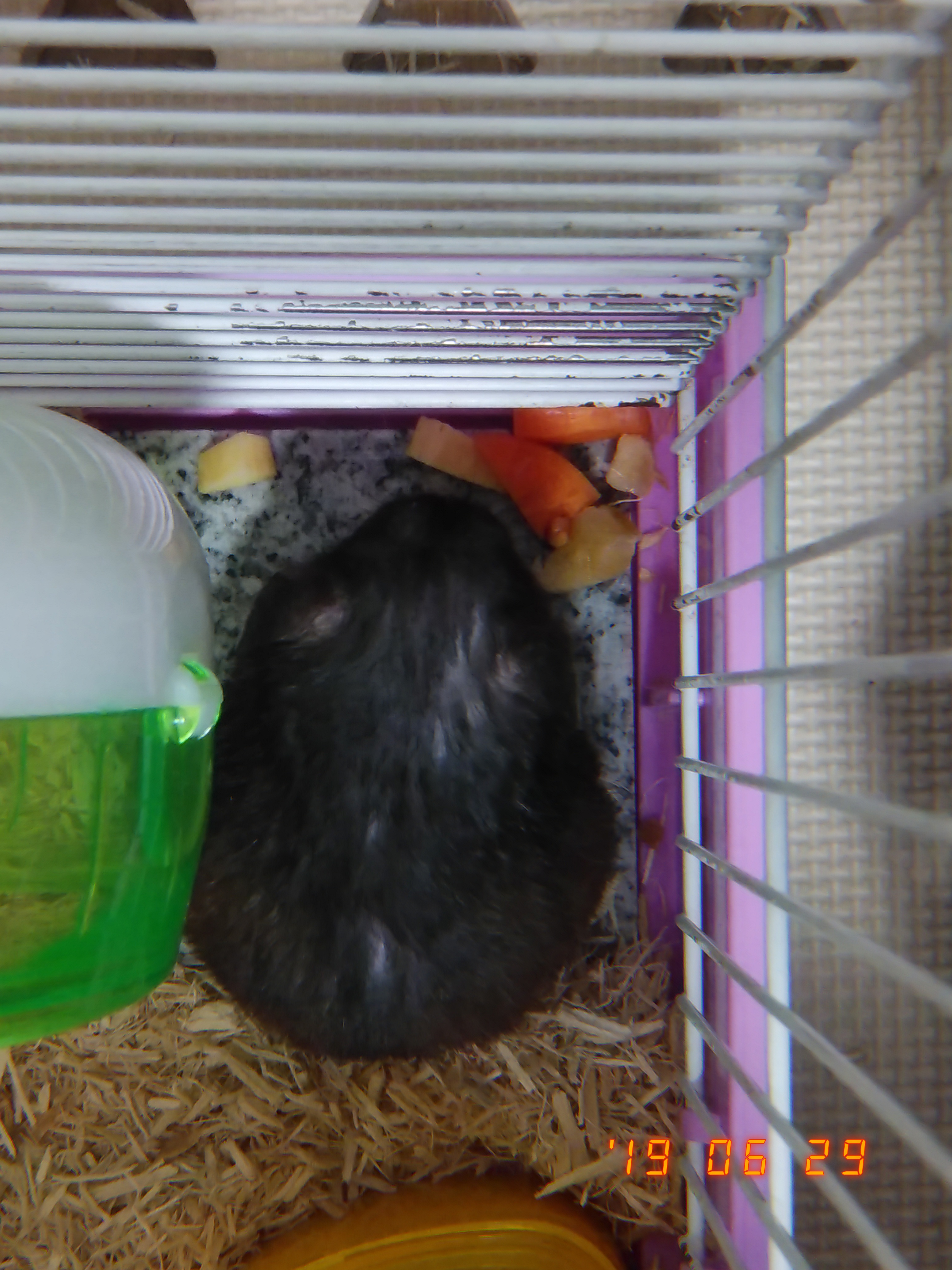 作業しながら雑談2