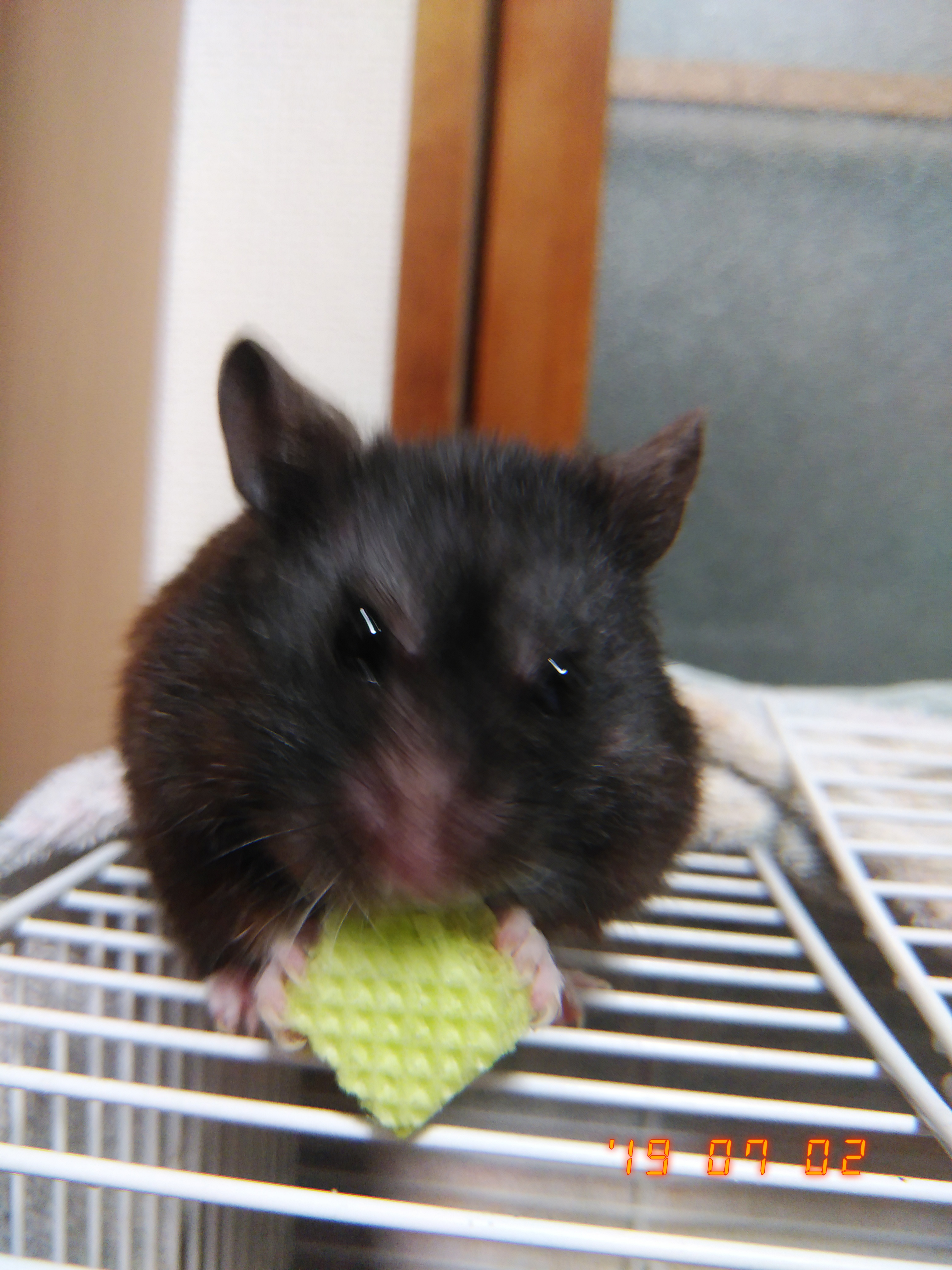 へたっぴ化粧研究所・夏1