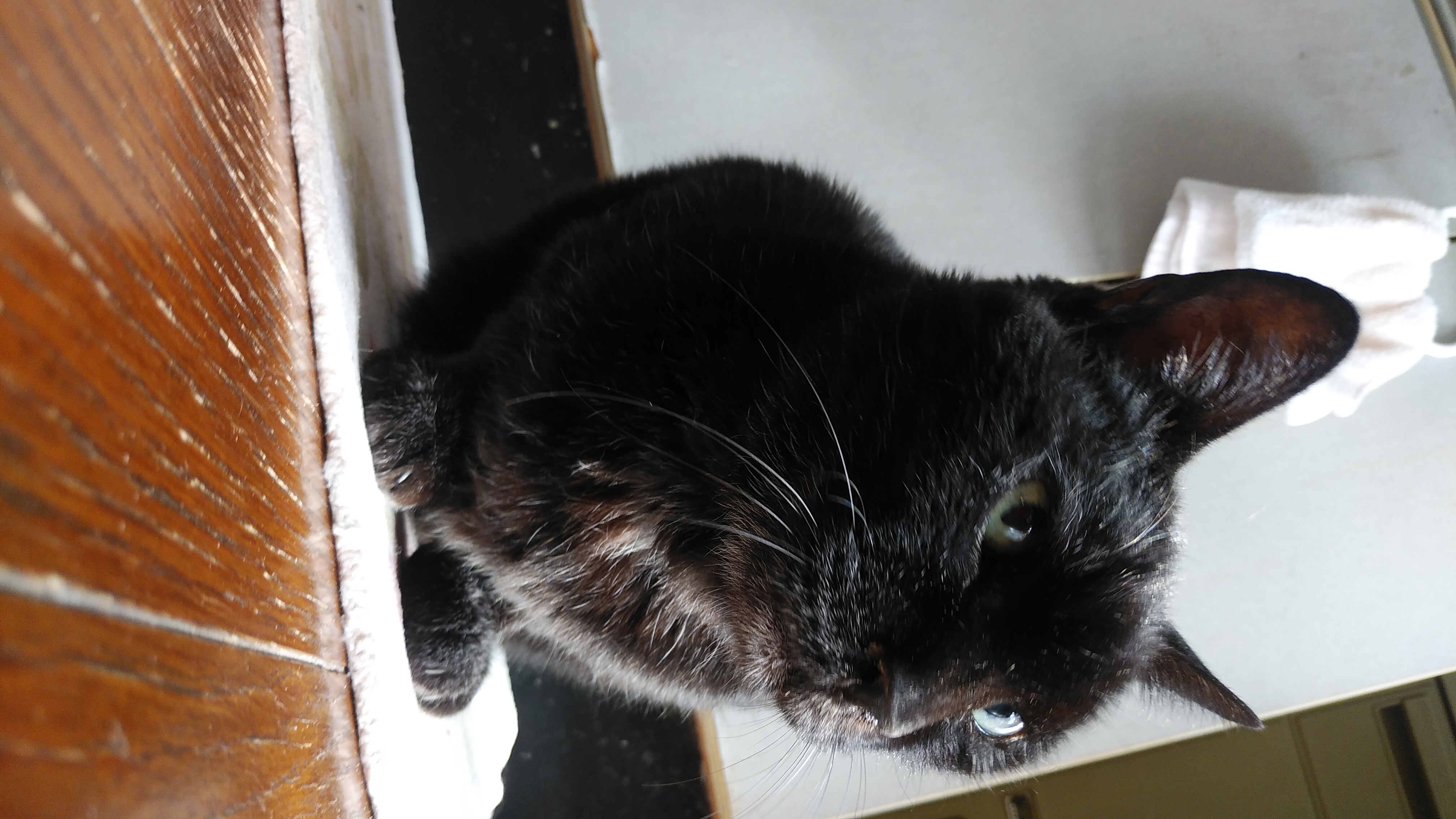 布団ごろごろ10