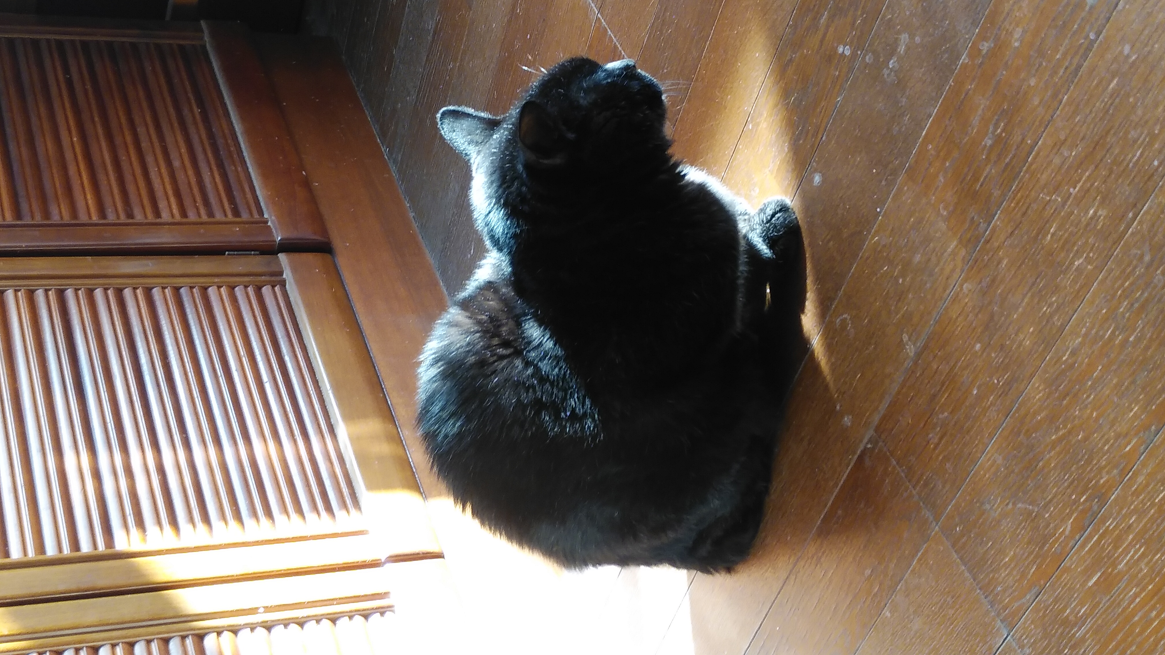 布団からの離脱2