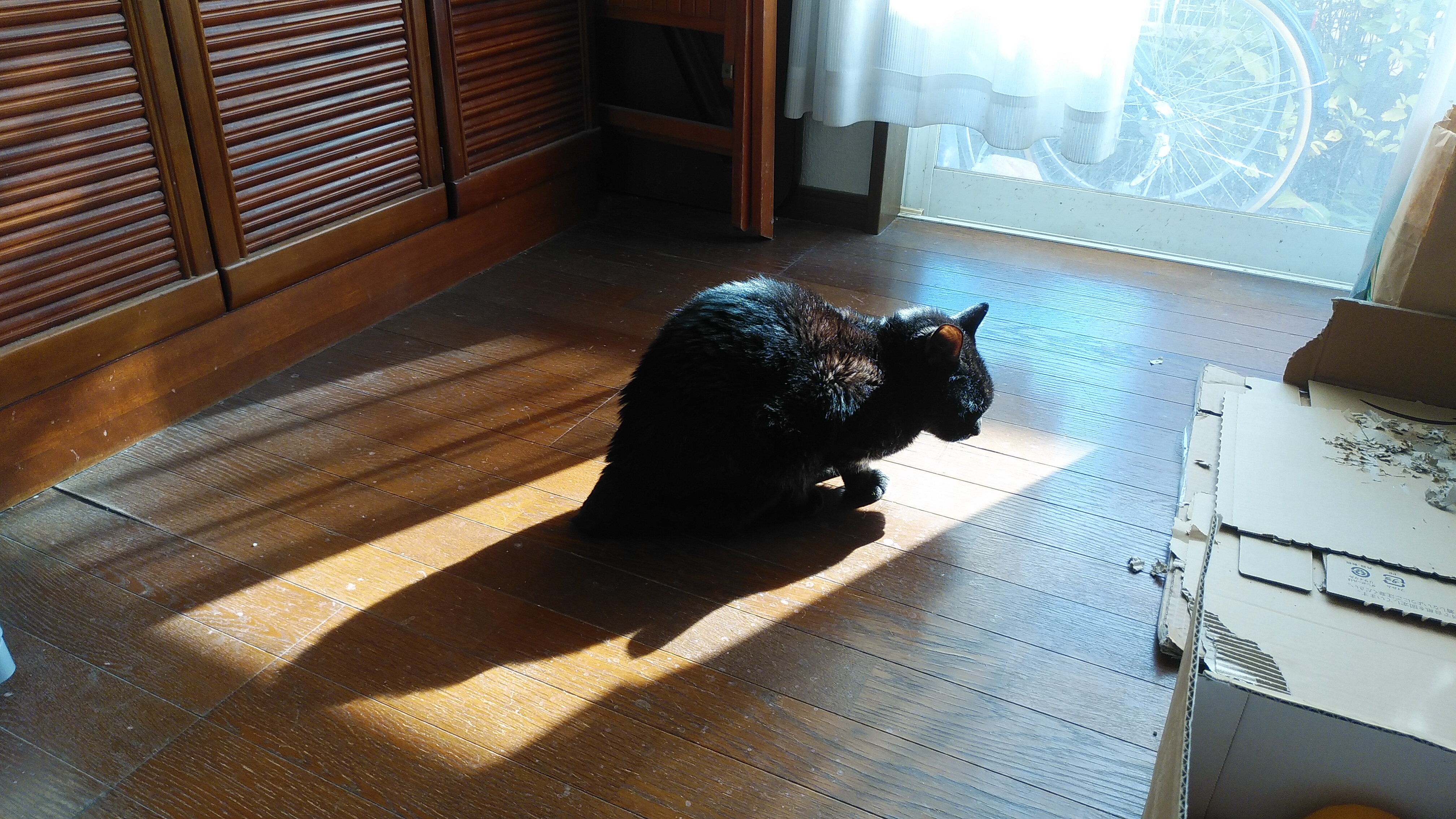 作業しながら喋ってる