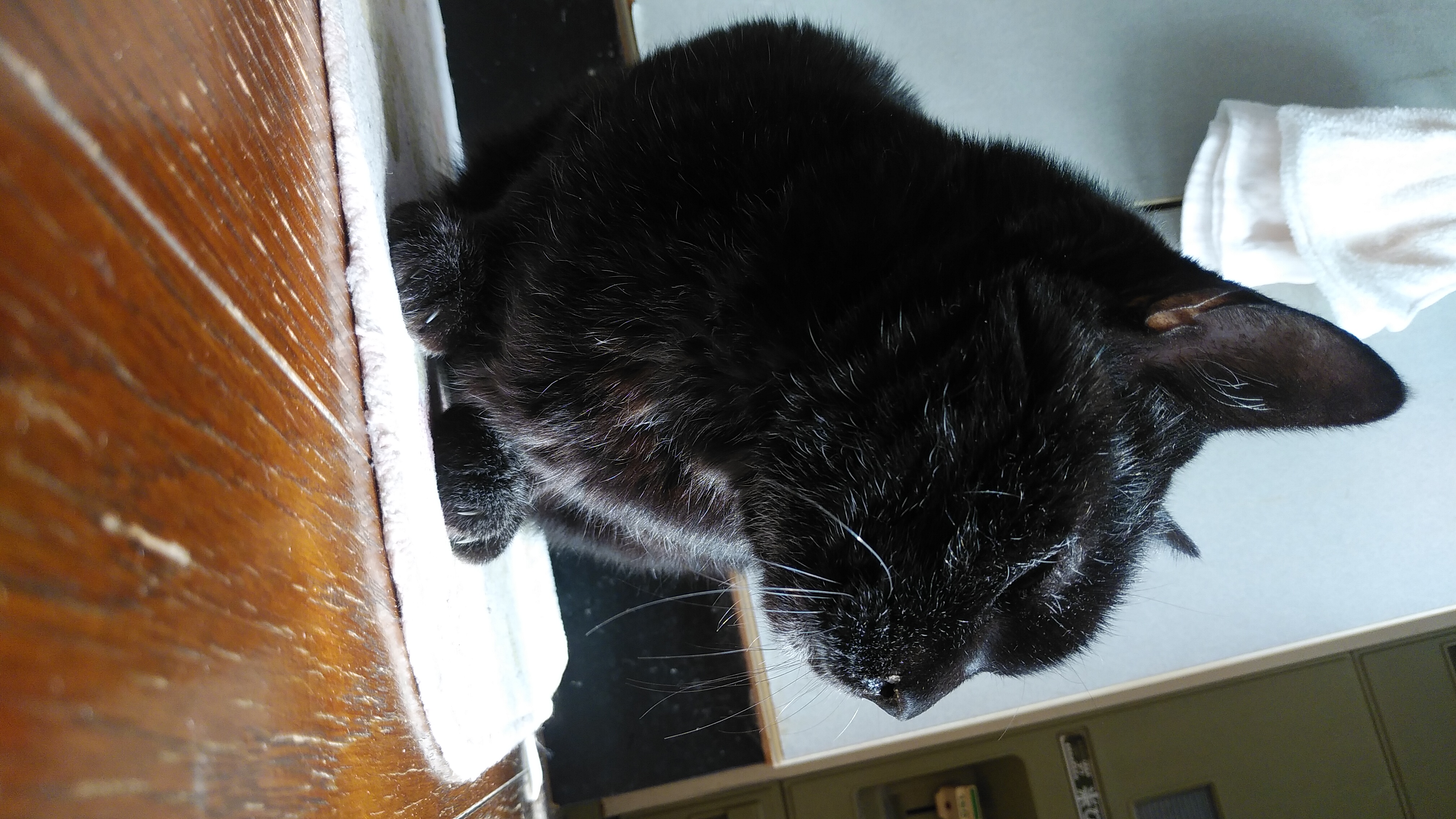 布団ごろごろ16